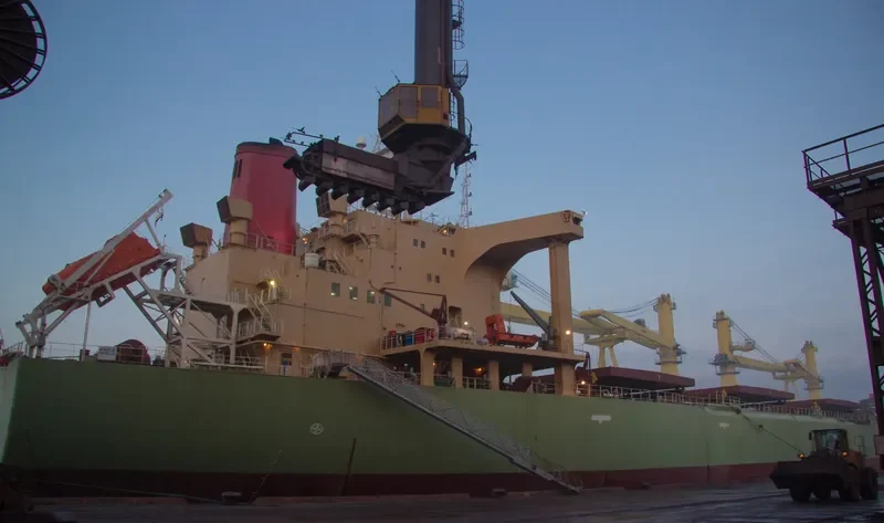 IRON DESTINY Bulk Carrier IMO 8202018 photo 3