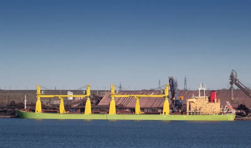 IRON DESTINY Bulk Carrier IMO 8202018 photo 4