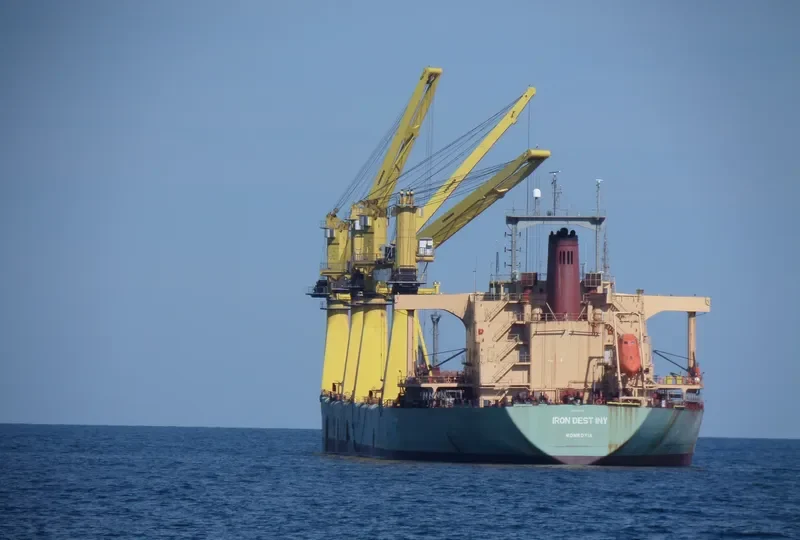 IRON DESTINY Bulk Carrier IMO 8202018 photo 5
