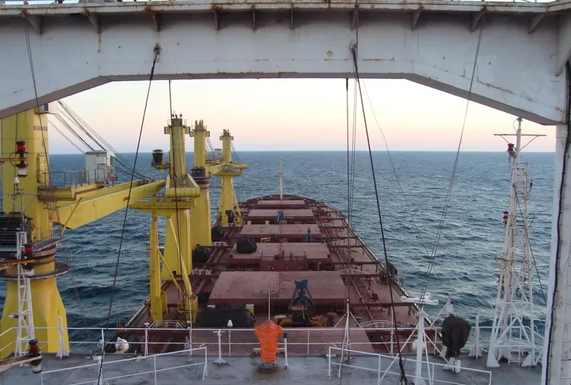 IRON DESTINY Bulk Carrier IMO 8202018 photo 8