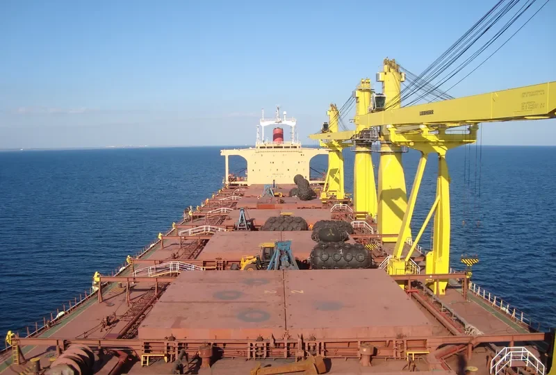 IRON DESTINY Bulk Carrier IMO 8202018 photo 9