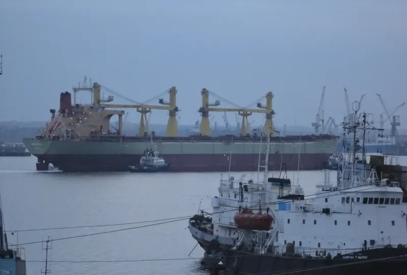 IRON DESTINY Bulk Carrier IMO 8202018 photo 10