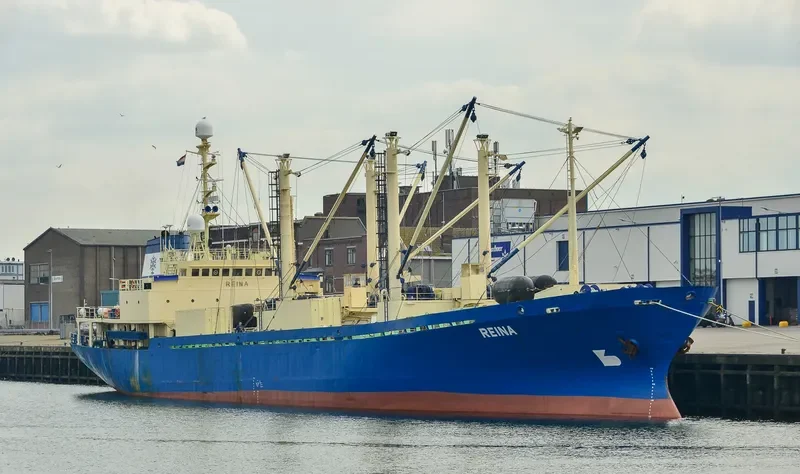 REINA General Cargo IMO 8202226 photo 2
