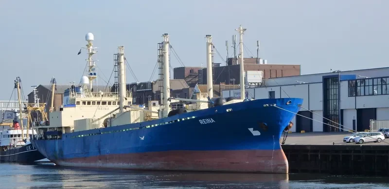REINA General Cargo IMO 8202226 photo 7