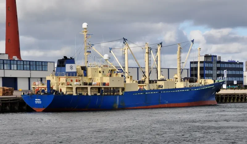 REINA General Cargo IMO 8202226 photo 8