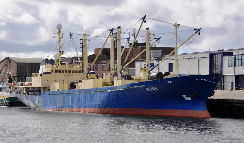 REINA General Cargo IMO 8202226 photo 9