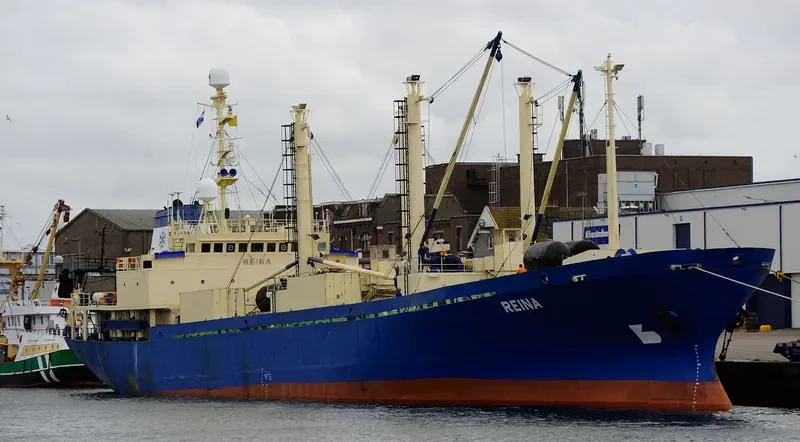 REINA General Cargo IMO 8202226 photo 10