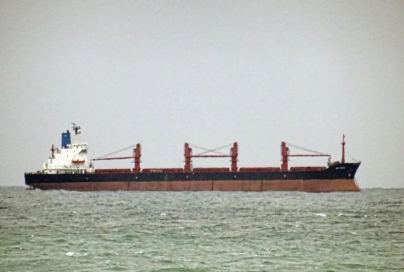 SEA DOVE Bulk Carrier IMO 8202525