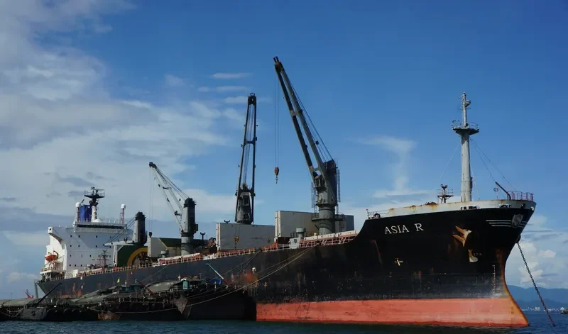 SEA DOVE Bulk Carrier IMO 8202525 photo 2