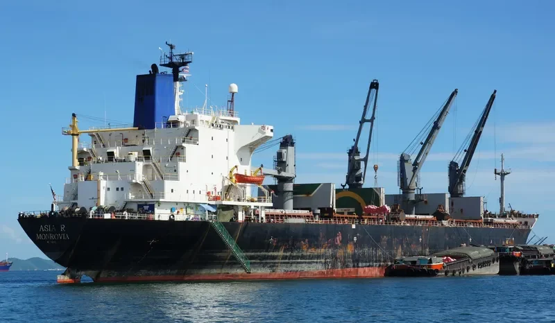 SEA DOVE Bulk Carrier IMO 8202525 photo 3