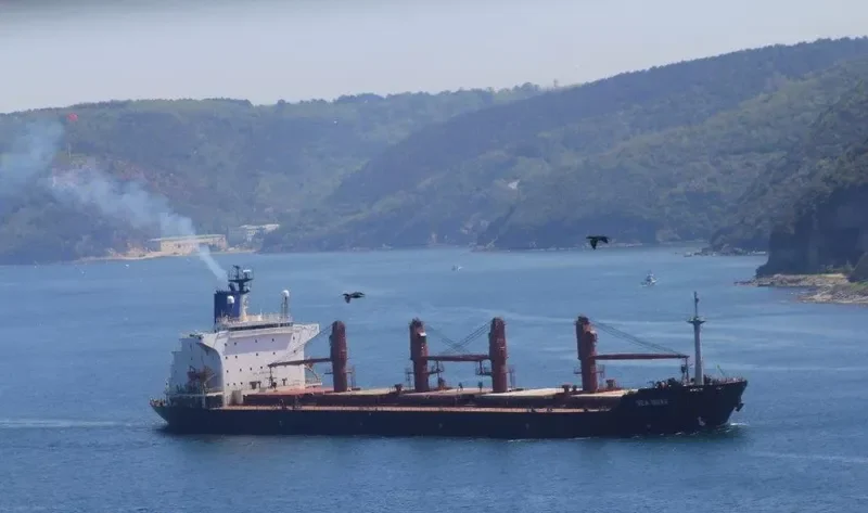 SEA DOVE Bulk Carrier IMO 8202525 photo 4