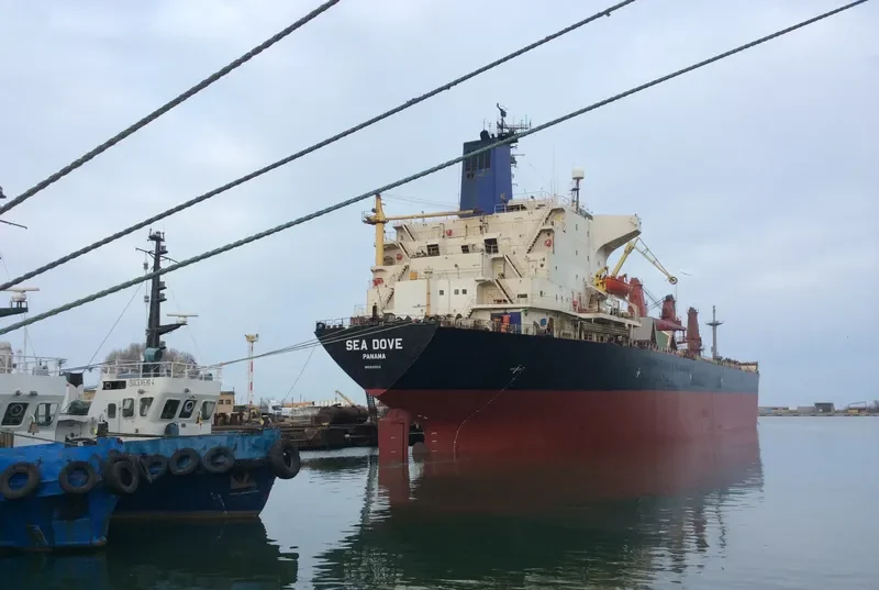 SEA DOVE Bulk Carrier IMO 8202525 photo 5