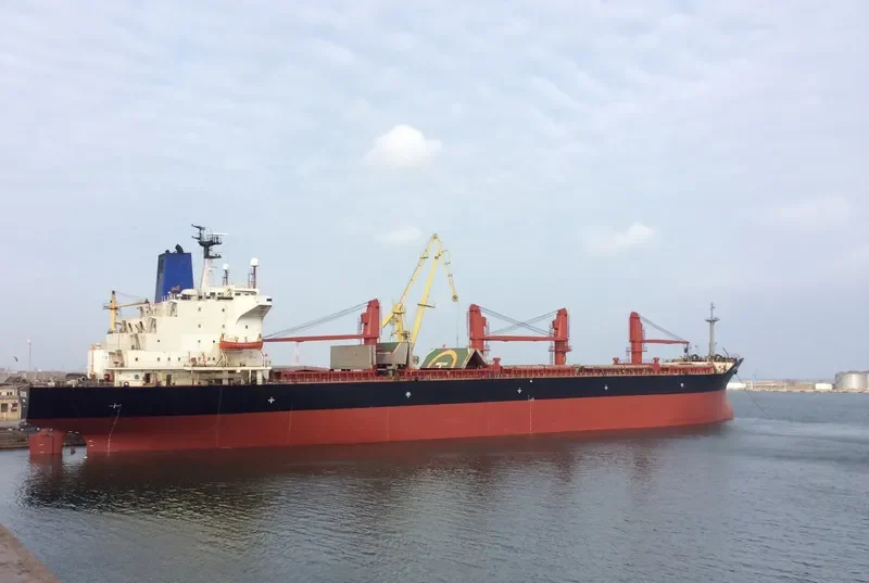 SEA DOVE Bulk Carrier IMO 8202525 photo 6