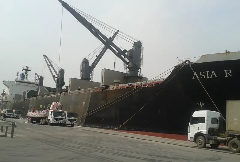SEA DOVE Bulk Carrier IMO 8202525 photo 7