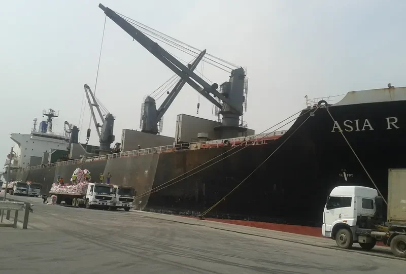 SEA DOVE Bulk Carrier IMO 8202525 photo 8