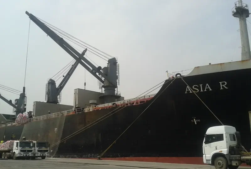 SEA DOVE Bulk Carrier IMO 8202525 photo 9