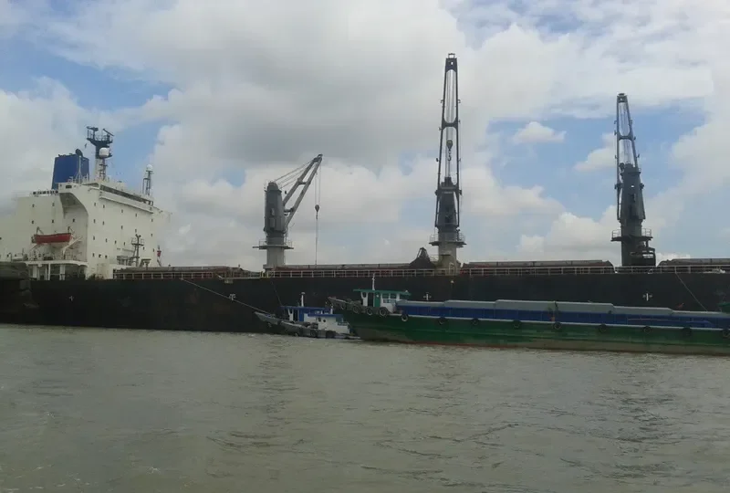 SEA DOVE Bulk Carrier IMO 8202525 photo 10