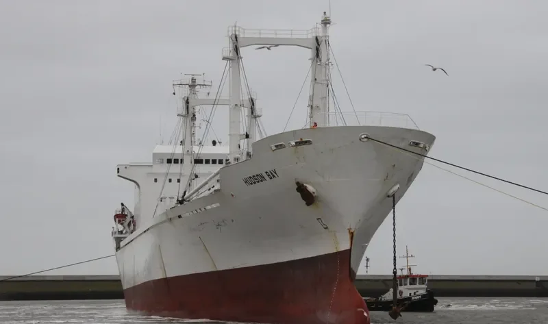 HUDSON BAY General Cargo IMO 8202654 photo 10
