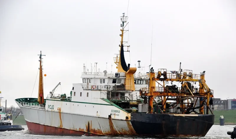 SCOMBRUS General Cargo IMO 8202812 photo 6