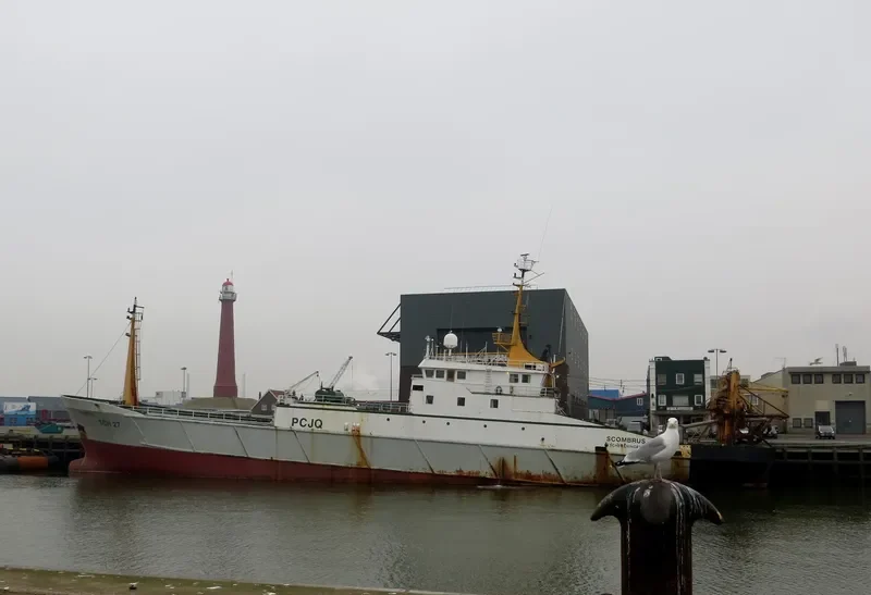 SCOMBRUS General Cargo IMO 8202812 photo 10