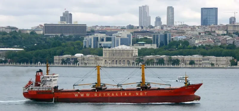 MANASSA MOON M General Cargo IMO 8202939 photo 4