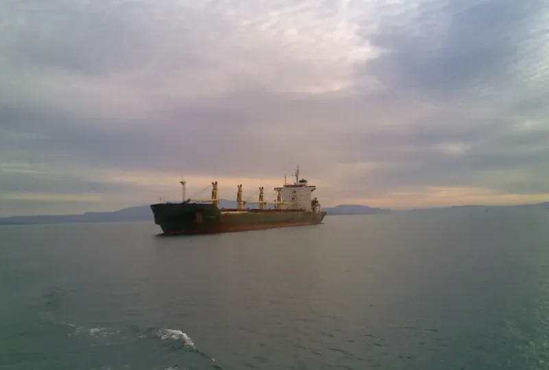 RENOS Bulk Carrier IMO 8203397 photo 2