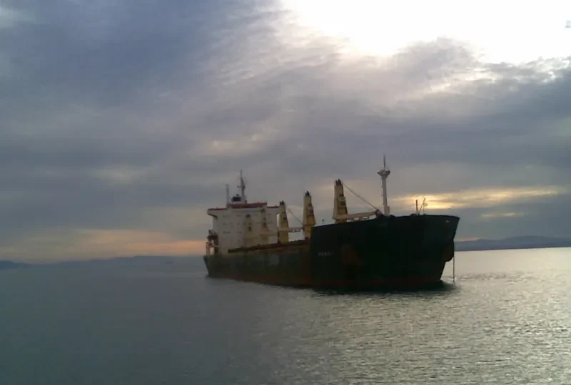 RENOS Bulk Carrier IMO 8203397 photo 3