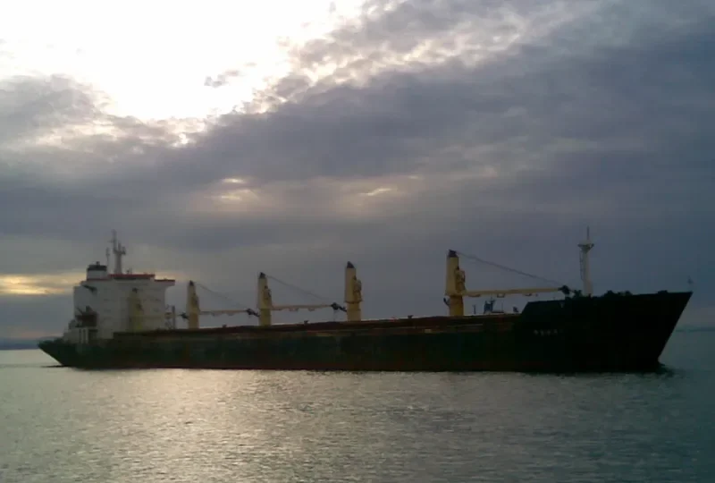 RENOS Bulk Carrier IMO 8203397 photo 4