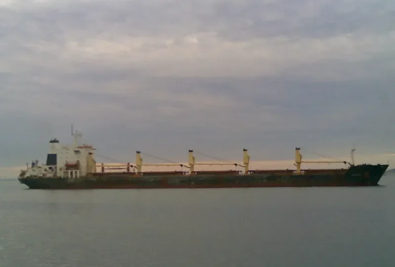 RENOS Bulk Carrier IMO 8203397 photo 5