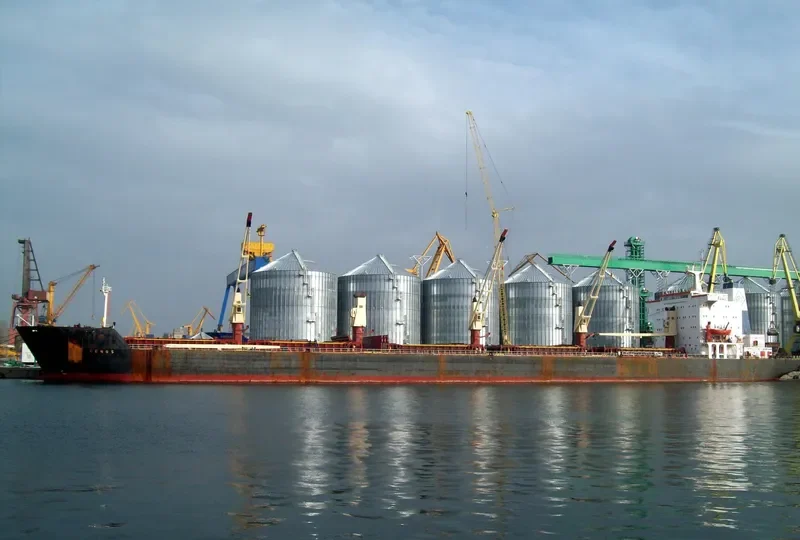 RENOS Bulk Carrier IMO 8203397 photo 6