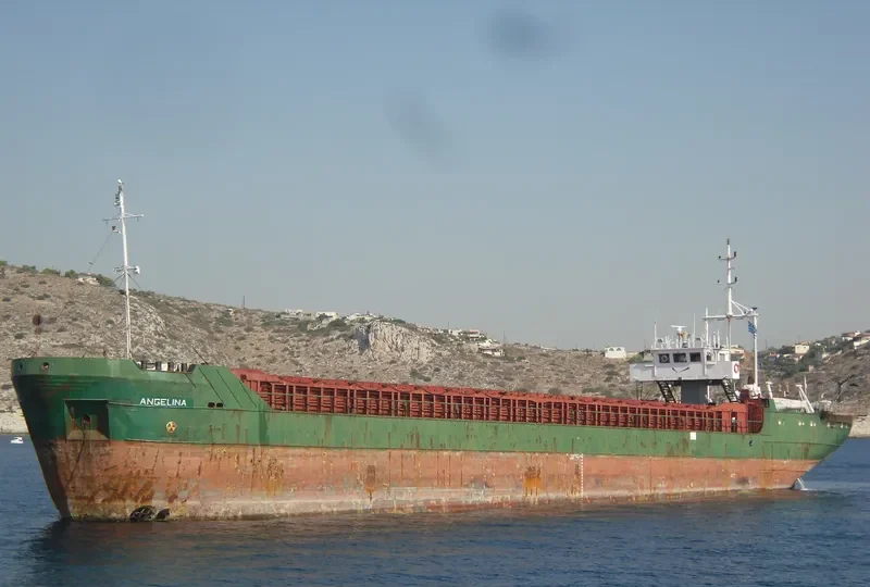 CRISNIK K General Cargo IMO 8203529 photo 6