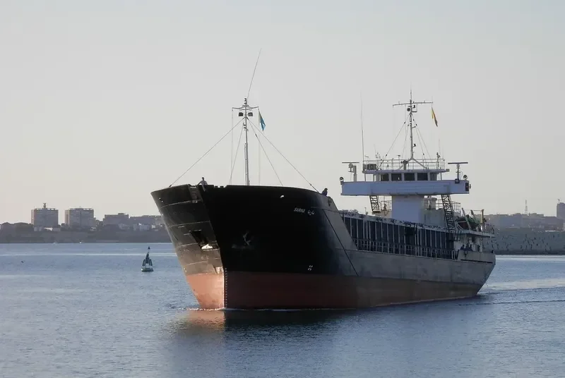 SARINA General Cargo IMO 8203608