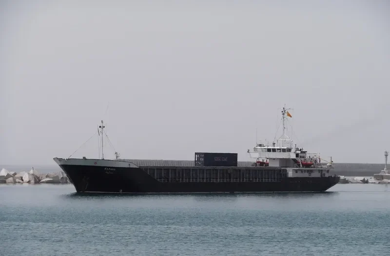 SARINA General Cargo IMO 8203608 photo 4