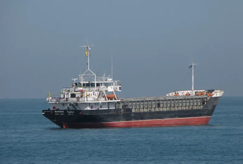 SARINA General Cargo IMO 8203608 photo 5
