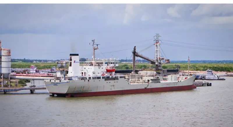AMPARO PAOLA General Cargo IMO 8203634 photo 6