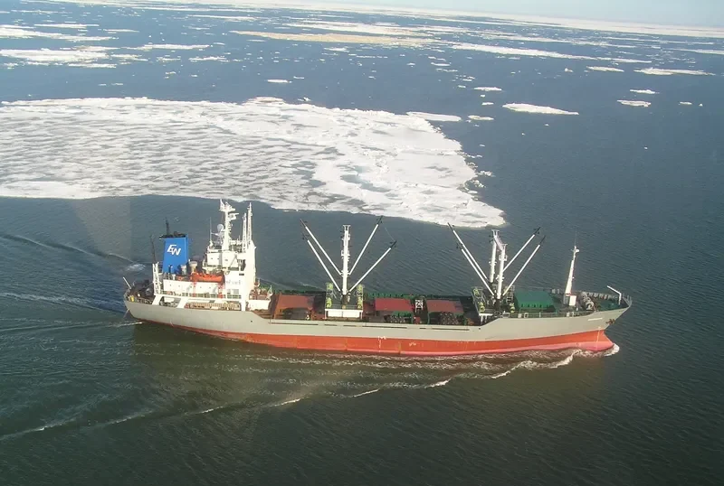 XIN YU 1 General Cargo IMO 8203816