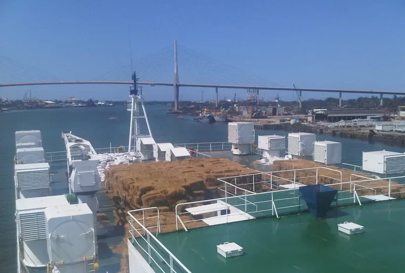 NABOLSI General Cargo IMO 8204250 photo 4