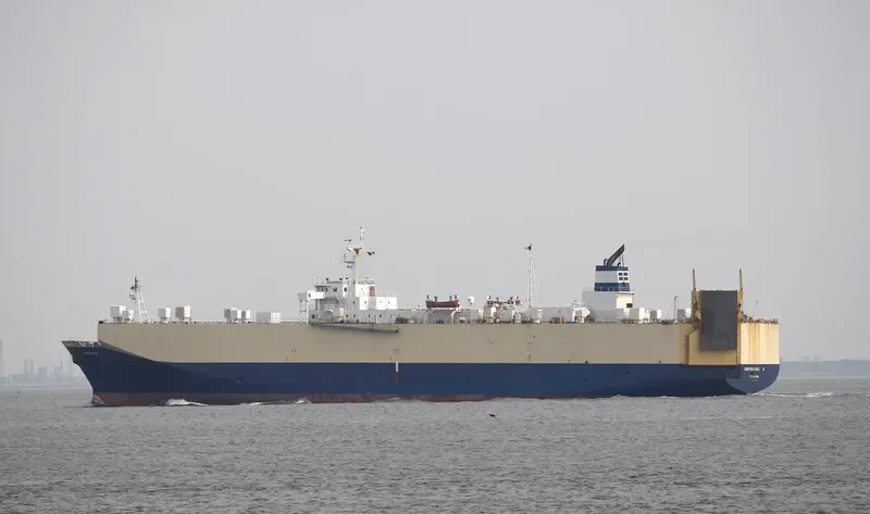 NABOLSI General Cargo IMO 8204250 photo 6