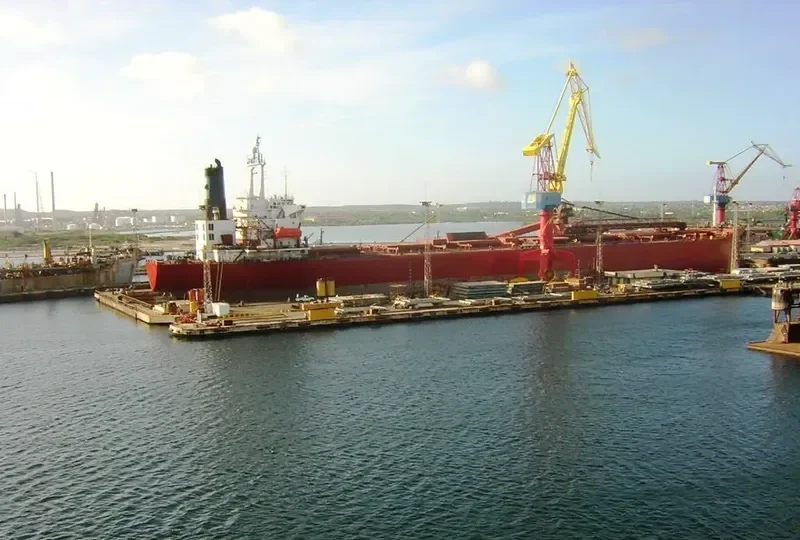 RIO CARONI Bulk Carrier IMO 8204456