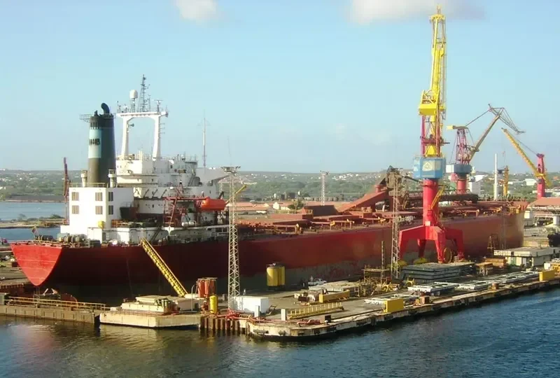 RIO CARONI Bulk Carrier IMO 8204456 photo 2
