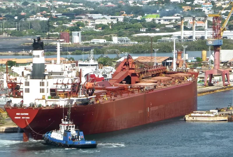RIO CARONI Bulk Carrier IMO 8204456 photo 3