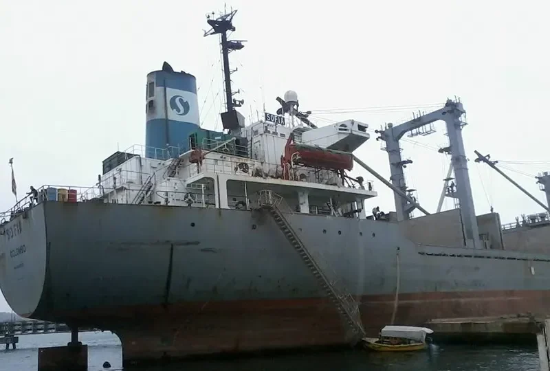 SOFIA Bulk Carrier IMO 8204573