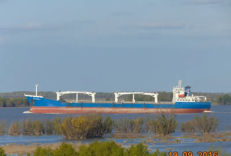 KIVELI Bulk Carrier IMO 8204731 photo 3