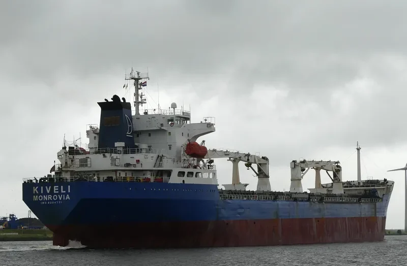 KIVELI Bulk Carrier IMO 8204731 photo 8