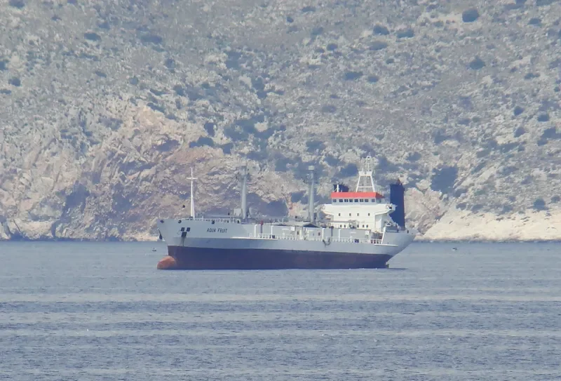 AQUA FRUIT General Cargo IMO 8205307 photo 6