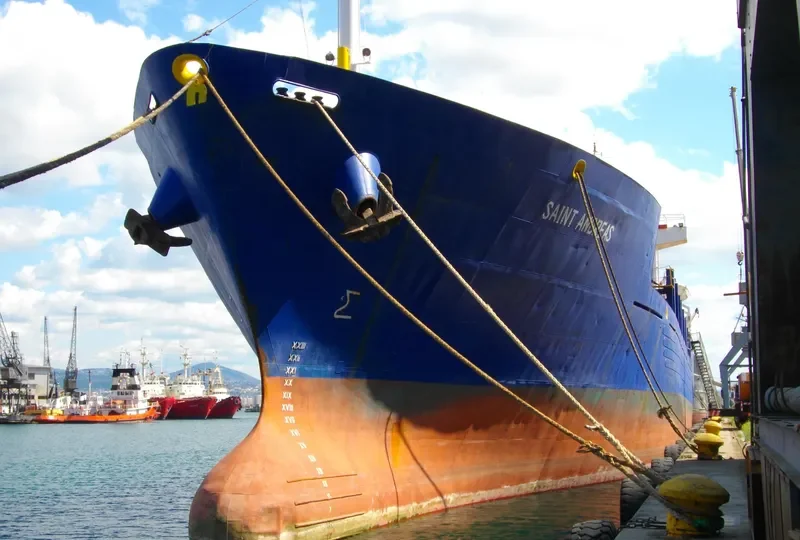 SAINT ANDREAS Container Ship IMO 8206260 photo 5