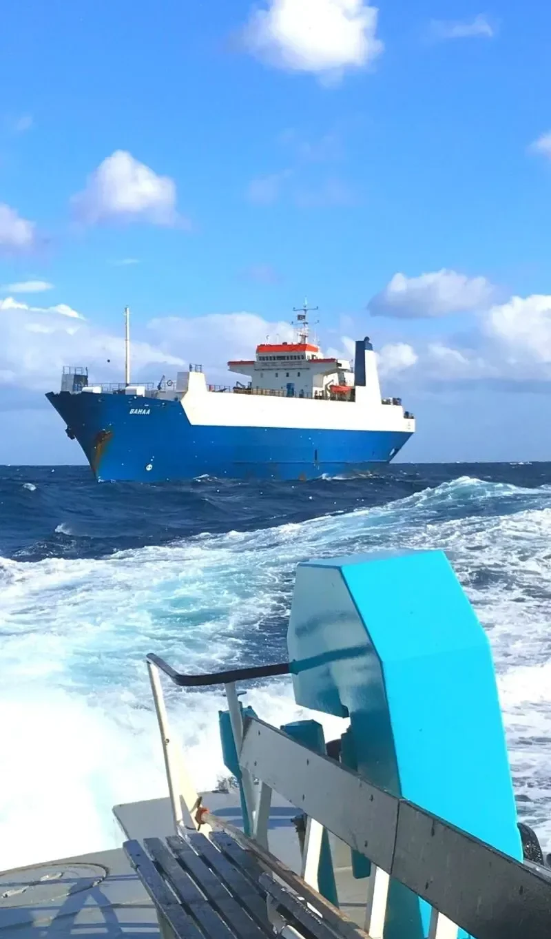 NIVIN General Cargo IMO 8206533