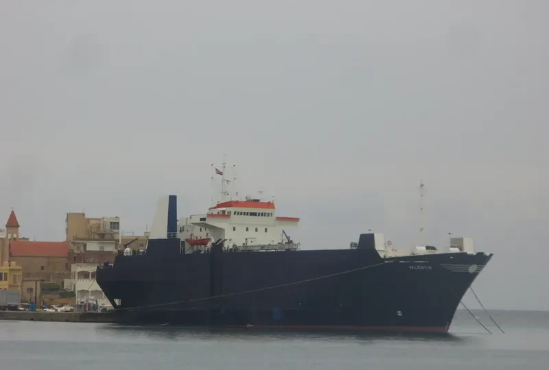 NIVIN General Cargo IMO 8206533 photo 7