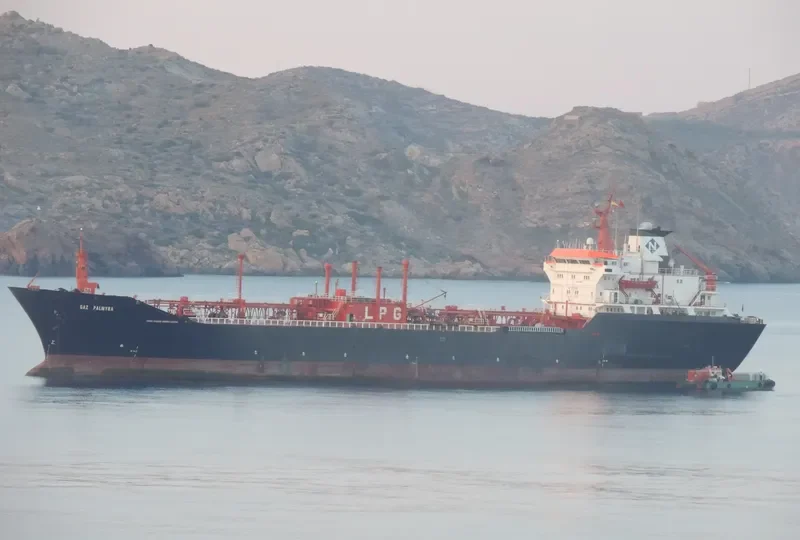 GAZ PALMYRA General Cargo IMO 8206612