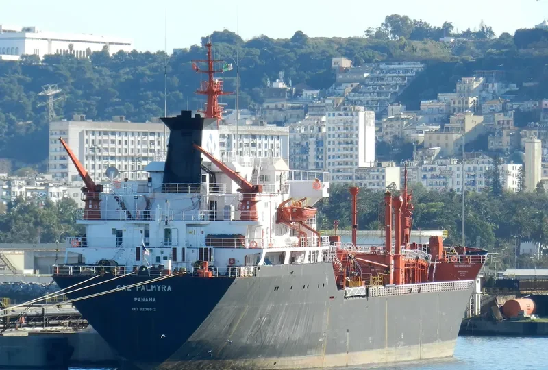 GAZ PALMYRA General Cargo IMO 8206612 photo 3